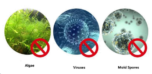 UV-Filtration entfernt Algen, Viren und Schimmelpilzsporen.